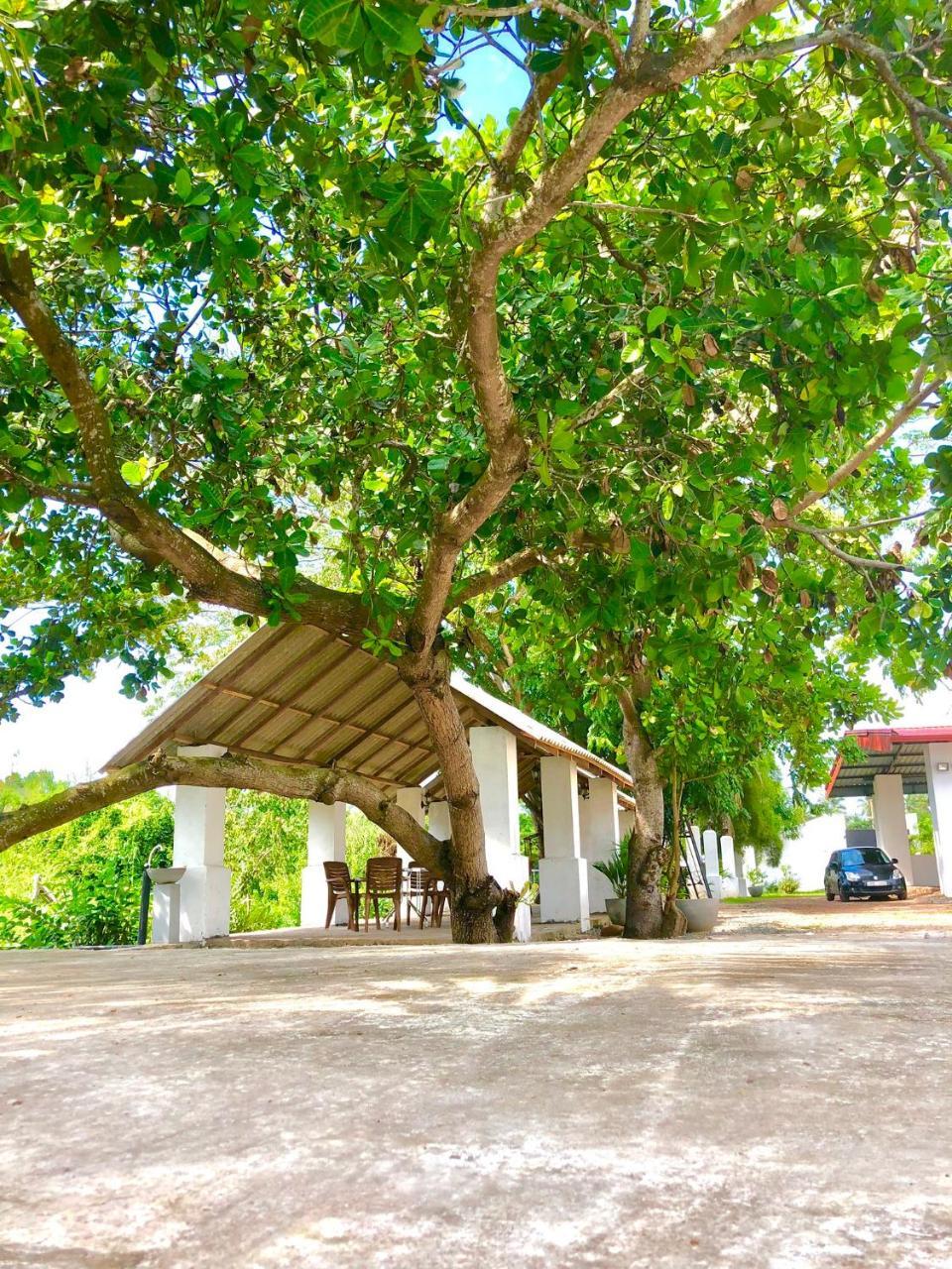 Riverside Hotel Katunayaka Екстериор снимка